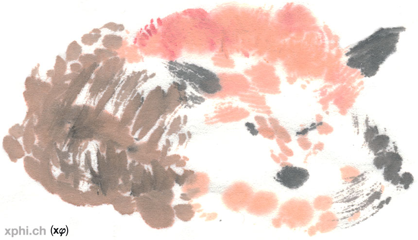 sleepy fox xphi.ch (x𝜑)